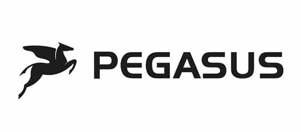 Pegasus